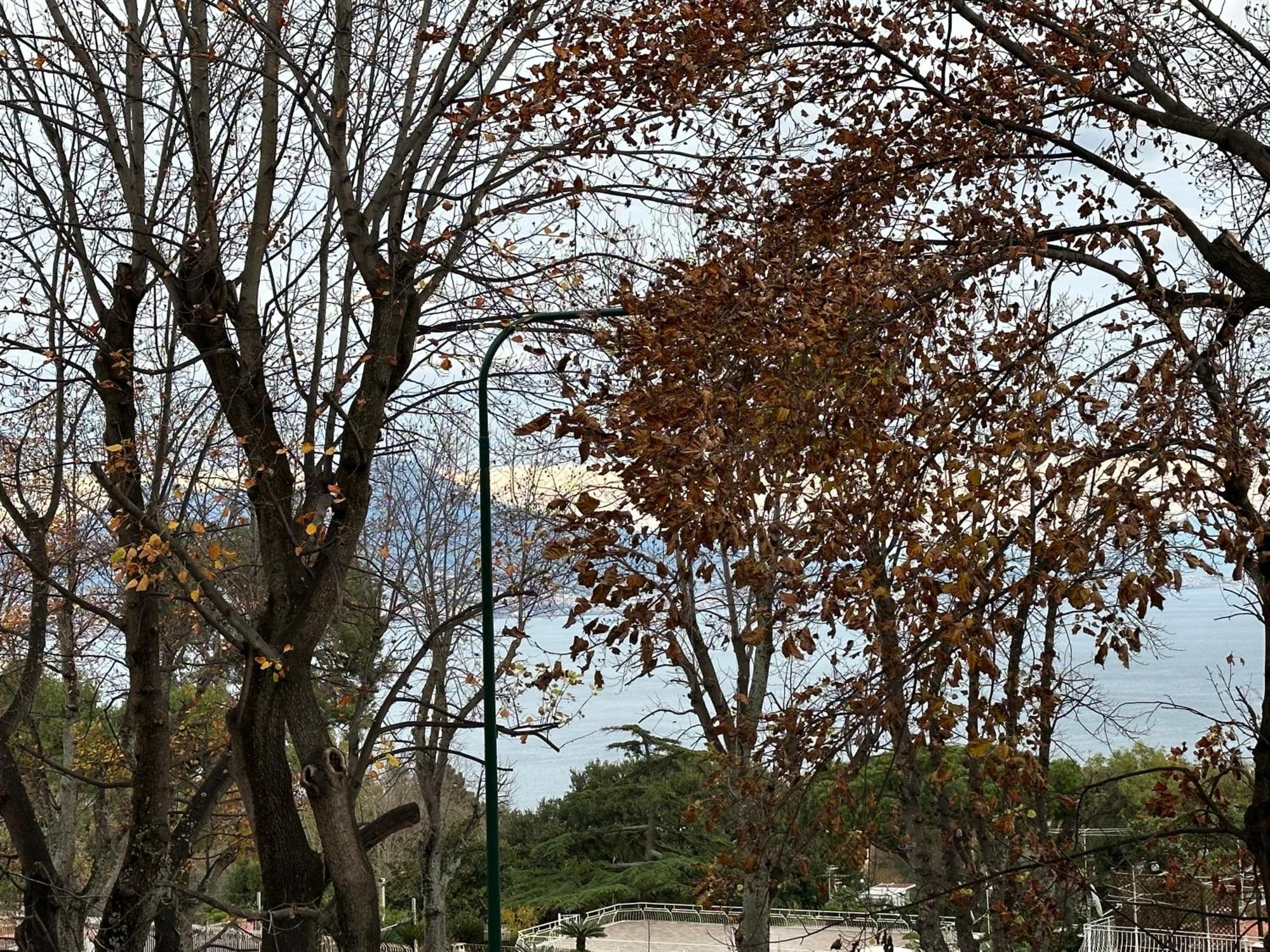 Pf Luxury Apartment Petrarca Posillipo Capri View - My Place 那不勒斯 外观 照片